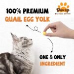 Freeze Dried Quail Egg Yolk Pet Treats, Freeze-Dried Pet Food for Dogs, Cats, Pure Fresh Ingredient, 4.2 oz, Rawhide Free, Gluten&Grain Free - Image 3