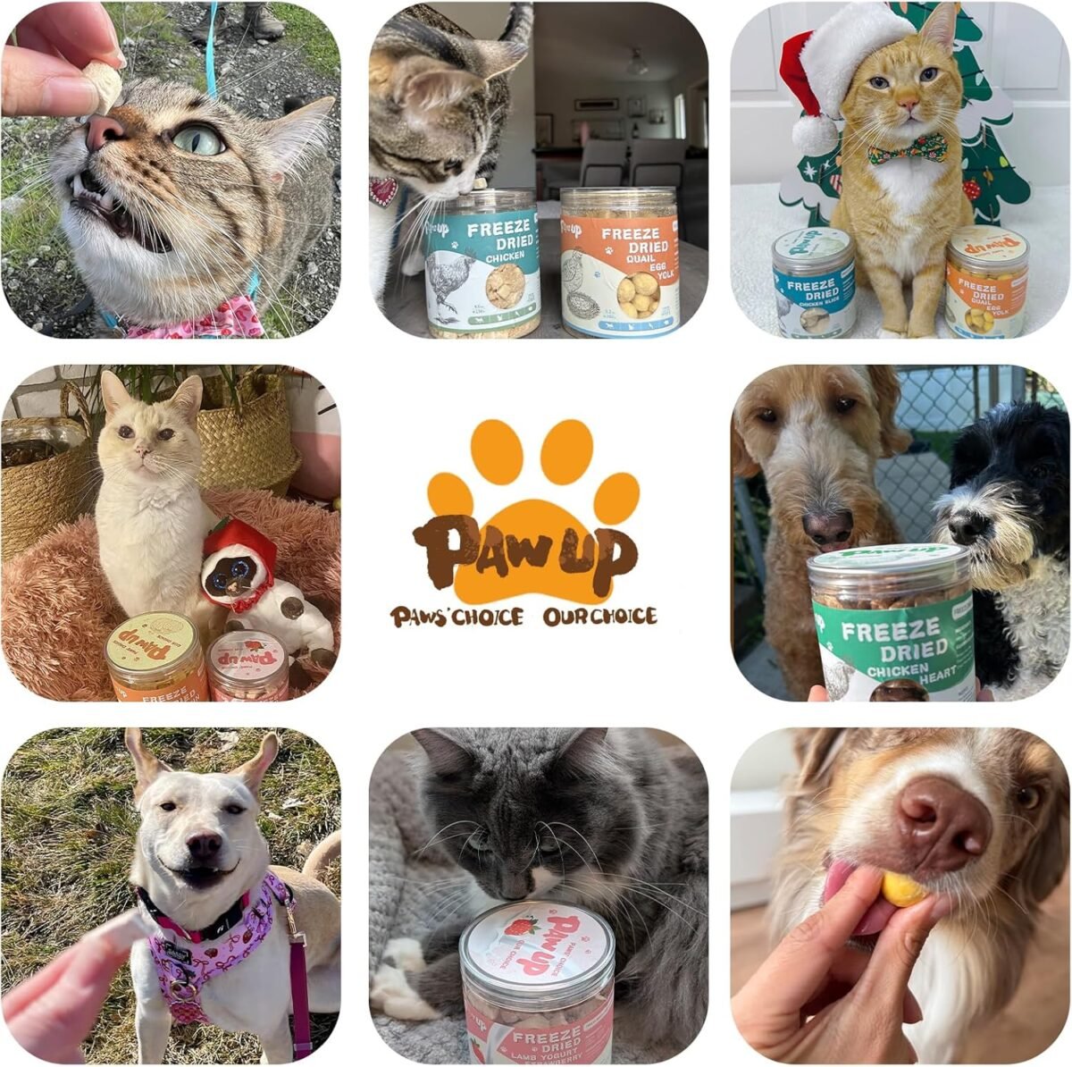 Freeze Dried Quail Egg Yolk Pet Treats, Freeze-Dried Pet Food for Dogs, Cats, Pure Fresh Ingredient, 4.2 oz, Rawhide Free, Gluten&Grain Free - Image 8
