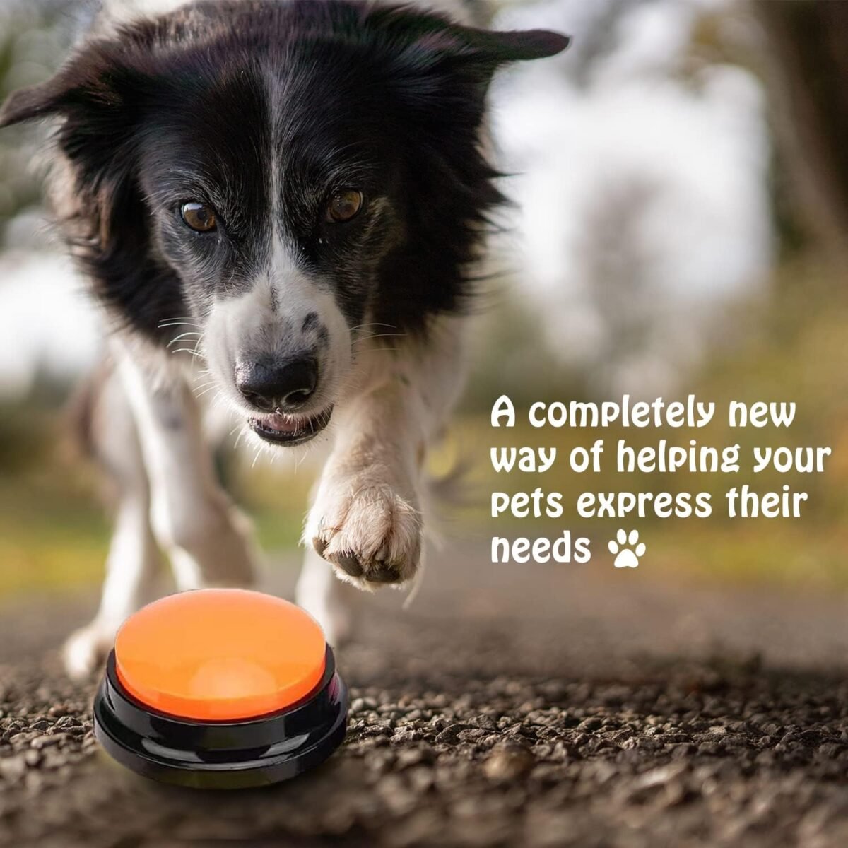 FINEST+ Voice Recording Button for Communication Pet Training Buzzer, 30 Second Record&Playback Dog Toy, Voice Recording Clicker for Cat, Puppy, Pet Trainin, Funny Gift for Study Office Home 4 Pcs - Image 7