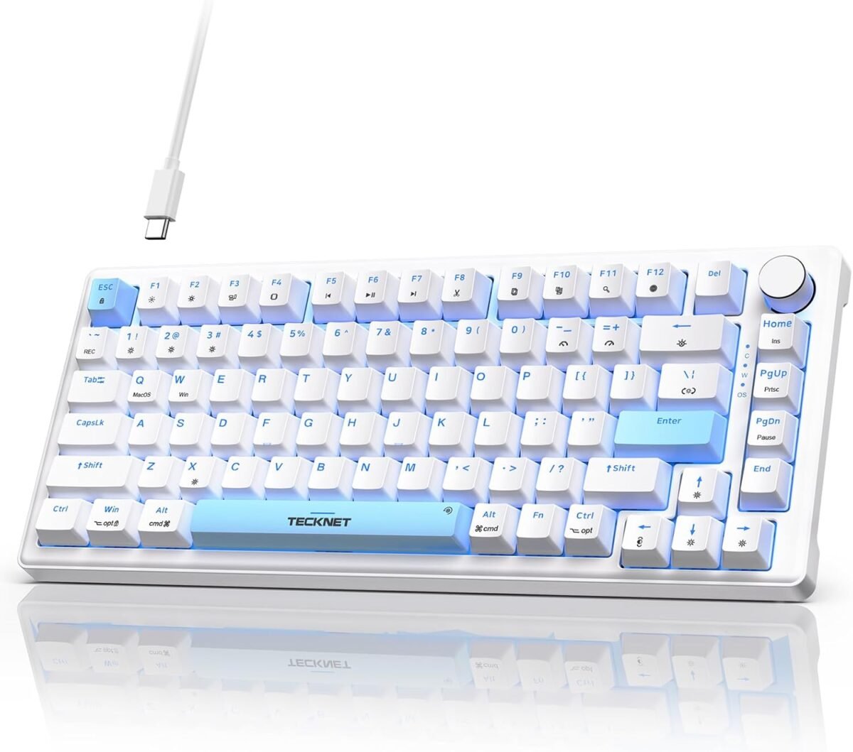 TECKNET Wired Gaming Keyboard, RGB Backlit Keyboards with Gasket Structure, USB C Mechanical Keyboard has 20 Lighting Effects & Multimedia Control Knob, Computer Keyboards for PC Laptop Mac Gamer - Image 2